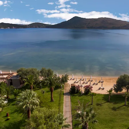 D Murat Reis Ayvalık