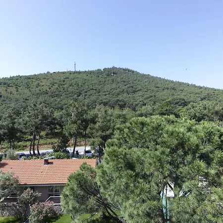 Otel D Murat Reis Ayvalık Ayvalı