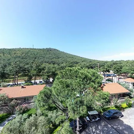 D Murat Reis Ayvalık Ayvalı