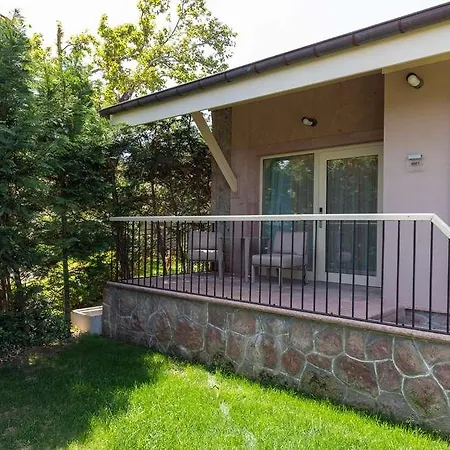 D Murat Reis Ayvalık Ayvalı