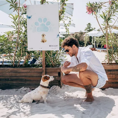 Otel D Murat Reis Ayvalık Ayvalı