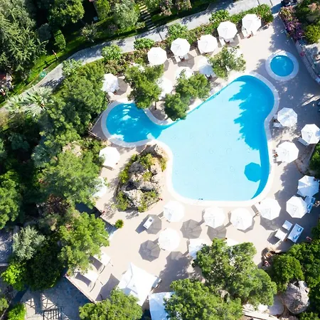 Hotel D -