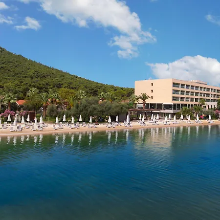 Hotel D -