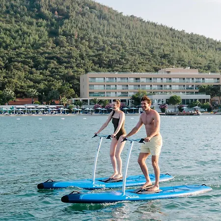 Hotell D -