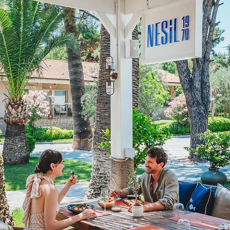 Hotel D -