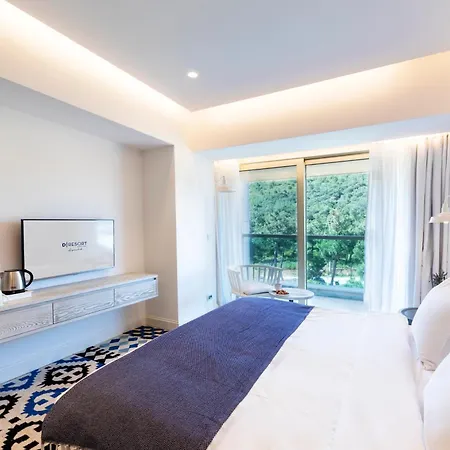 Hotel D -