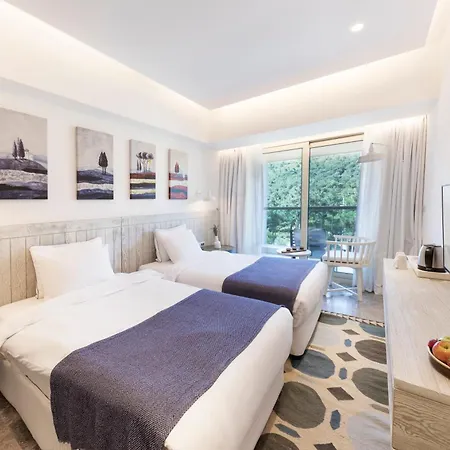 D - Hotel