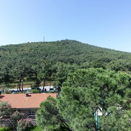 Hotel D - Ayvalik