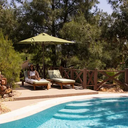 Hotel D Murat Reis Ayvalık Ayvalı