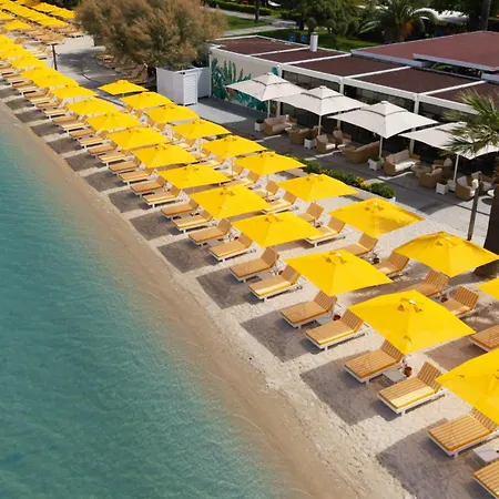 Hotell D -