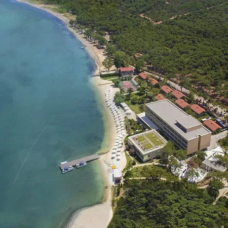 D - Hotel