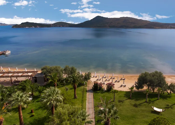 D Murat Reis Ayvalık