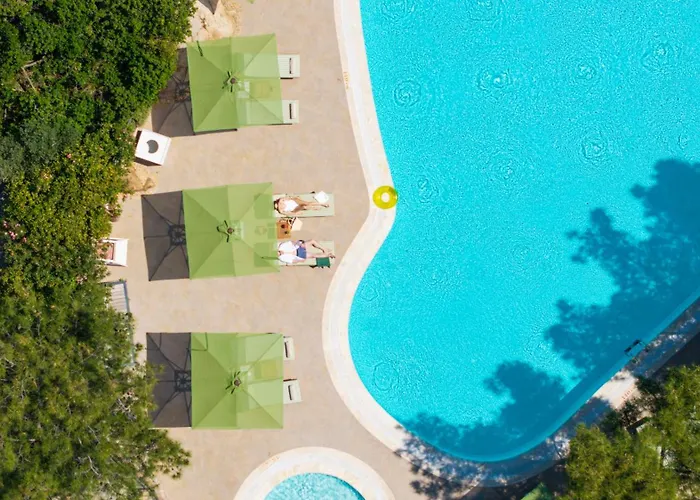 D Murat Reis Ayvalık Ayvalı